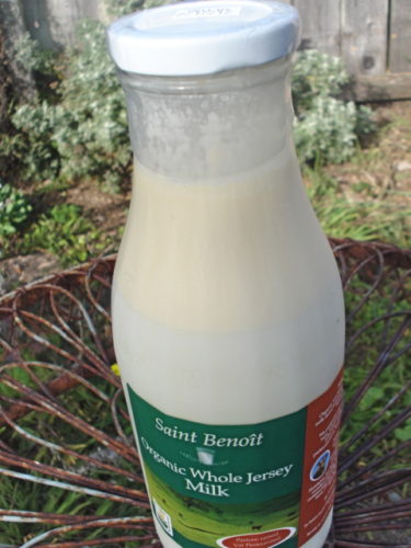Ydmyghed Gravere klinke Other Avenues | Local rich, cream-top whole milk – in glass bottles!