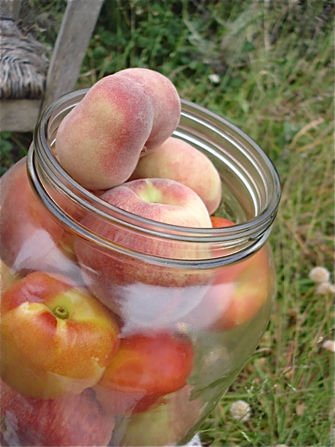 stone fruit in a jar
