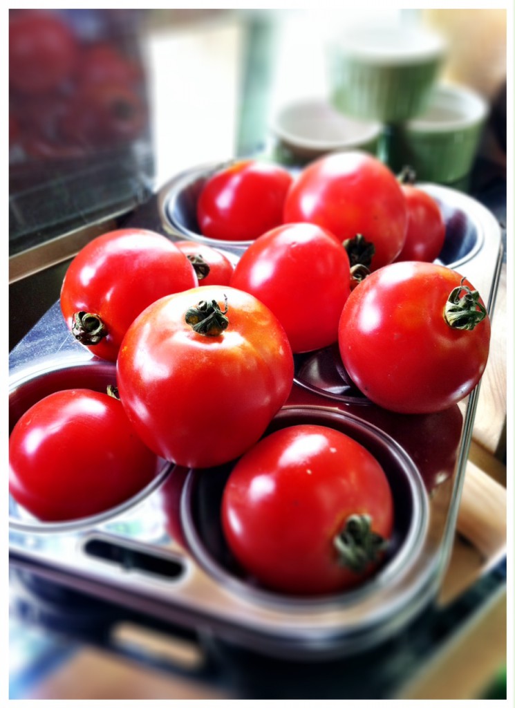 dry farmed Early Girl Tomatoes