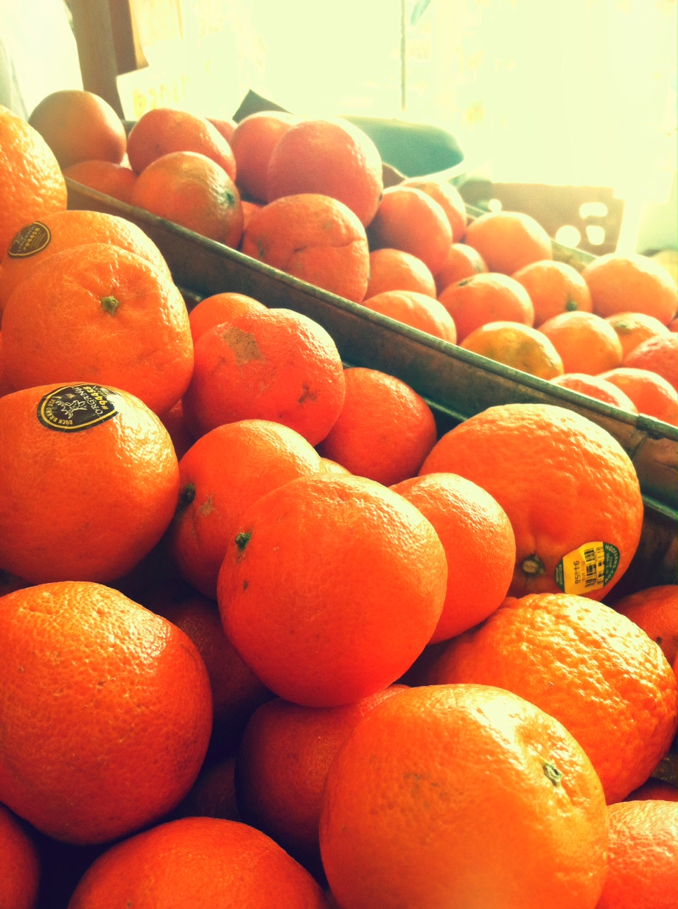 Tangerines 2015